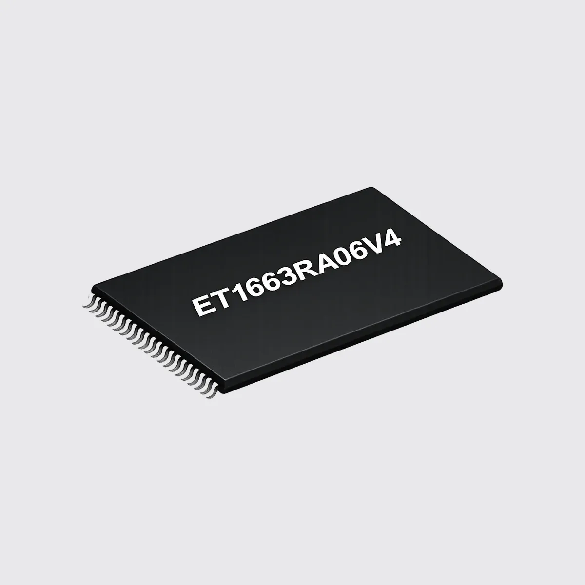ET1663RA06V4